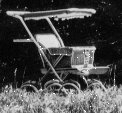 Baby buggy usa